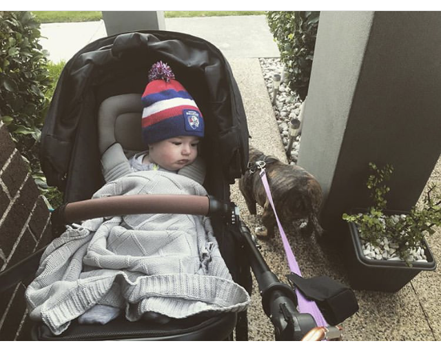 Organic Cotton Baby Blanket - Grey